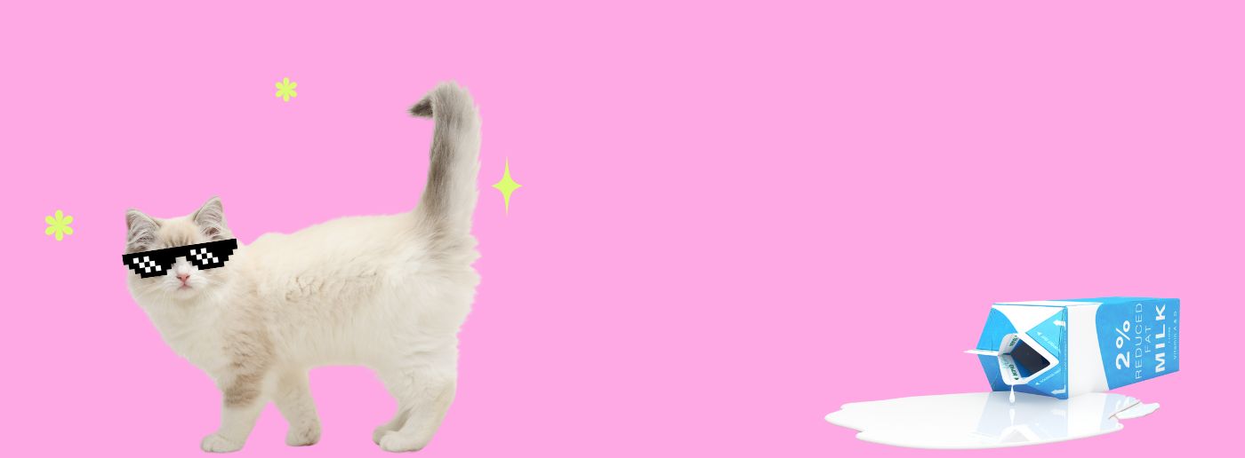 Bad Cat Header